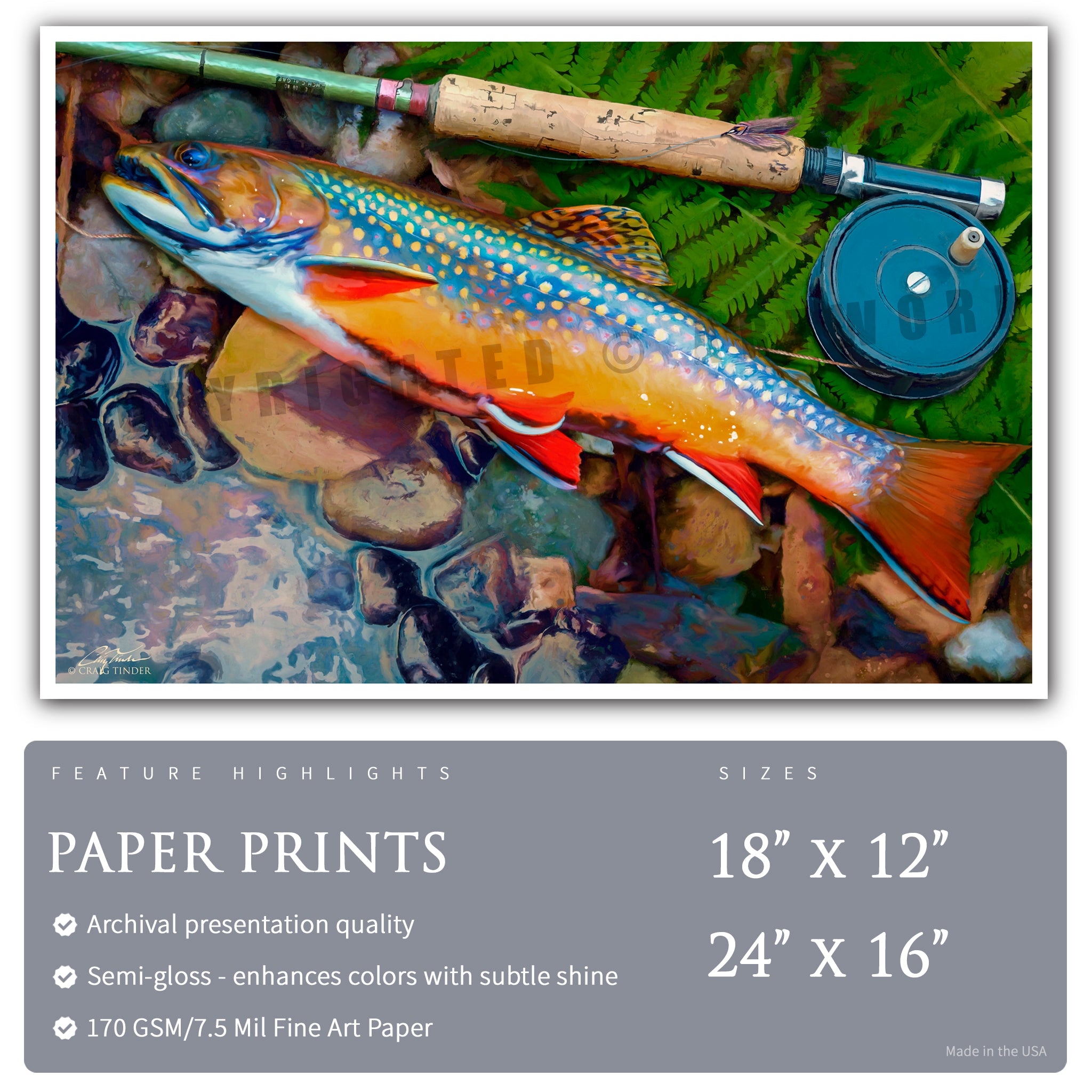 Catskills Brook Trout