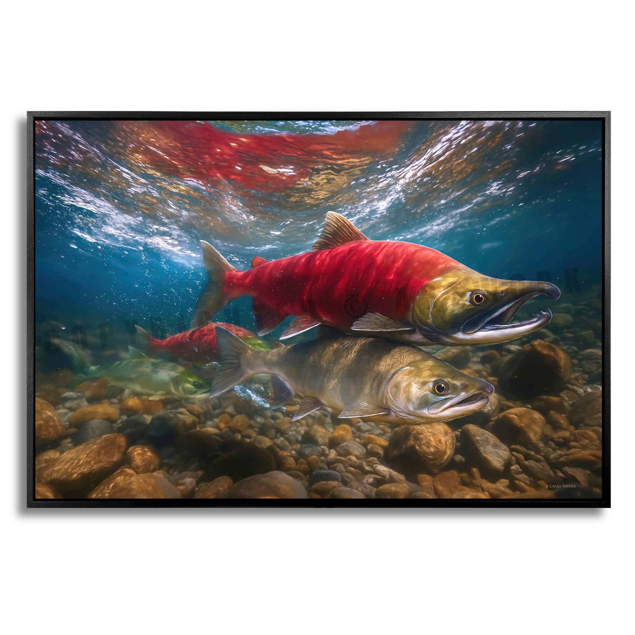 Crimson Sockeye