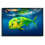 Dorado Breakaway