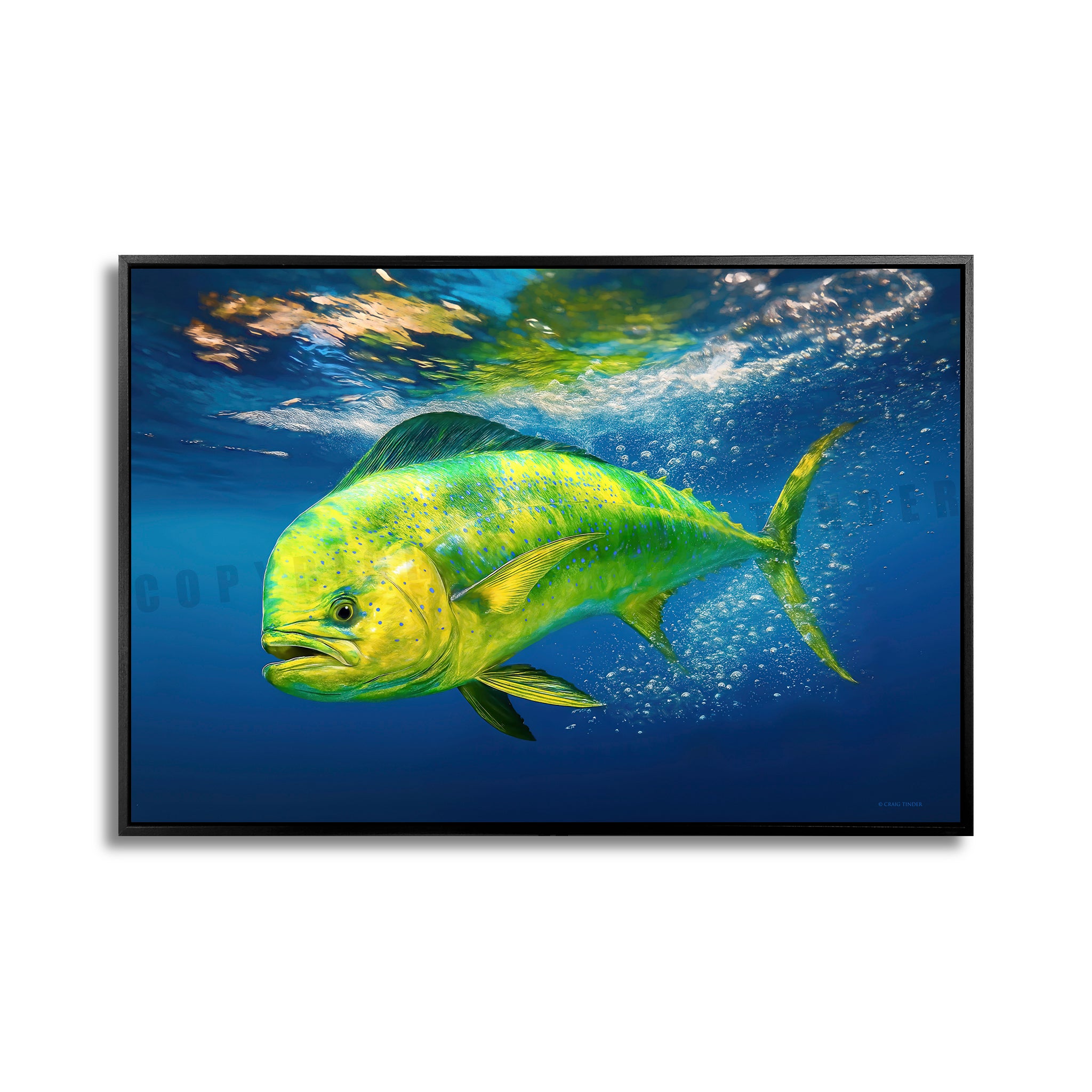 Dorado Breakaway
