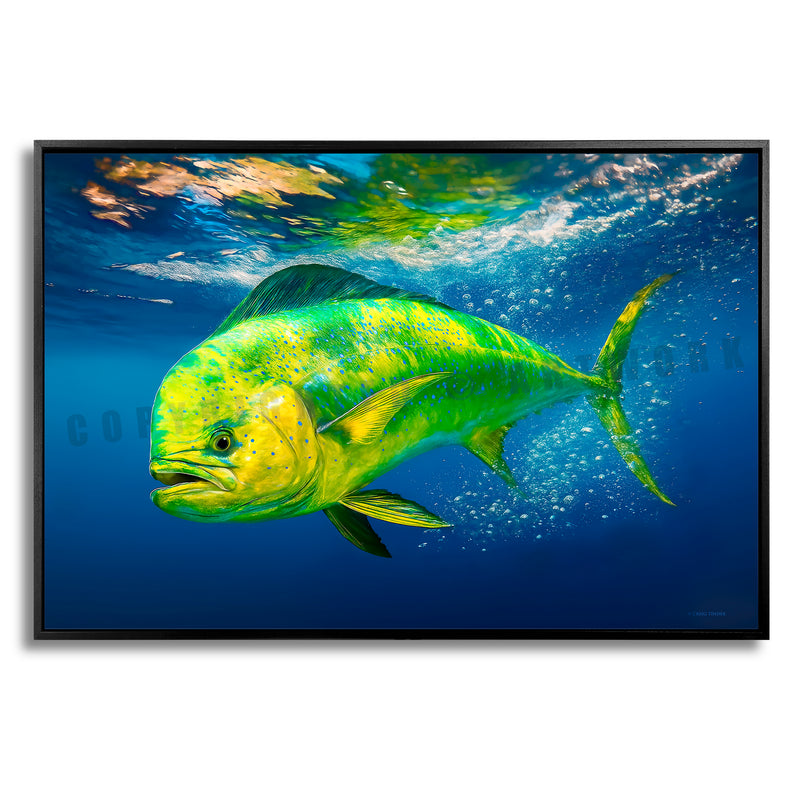 Dorado Breakaway