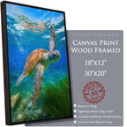 Echoes of the Turtle