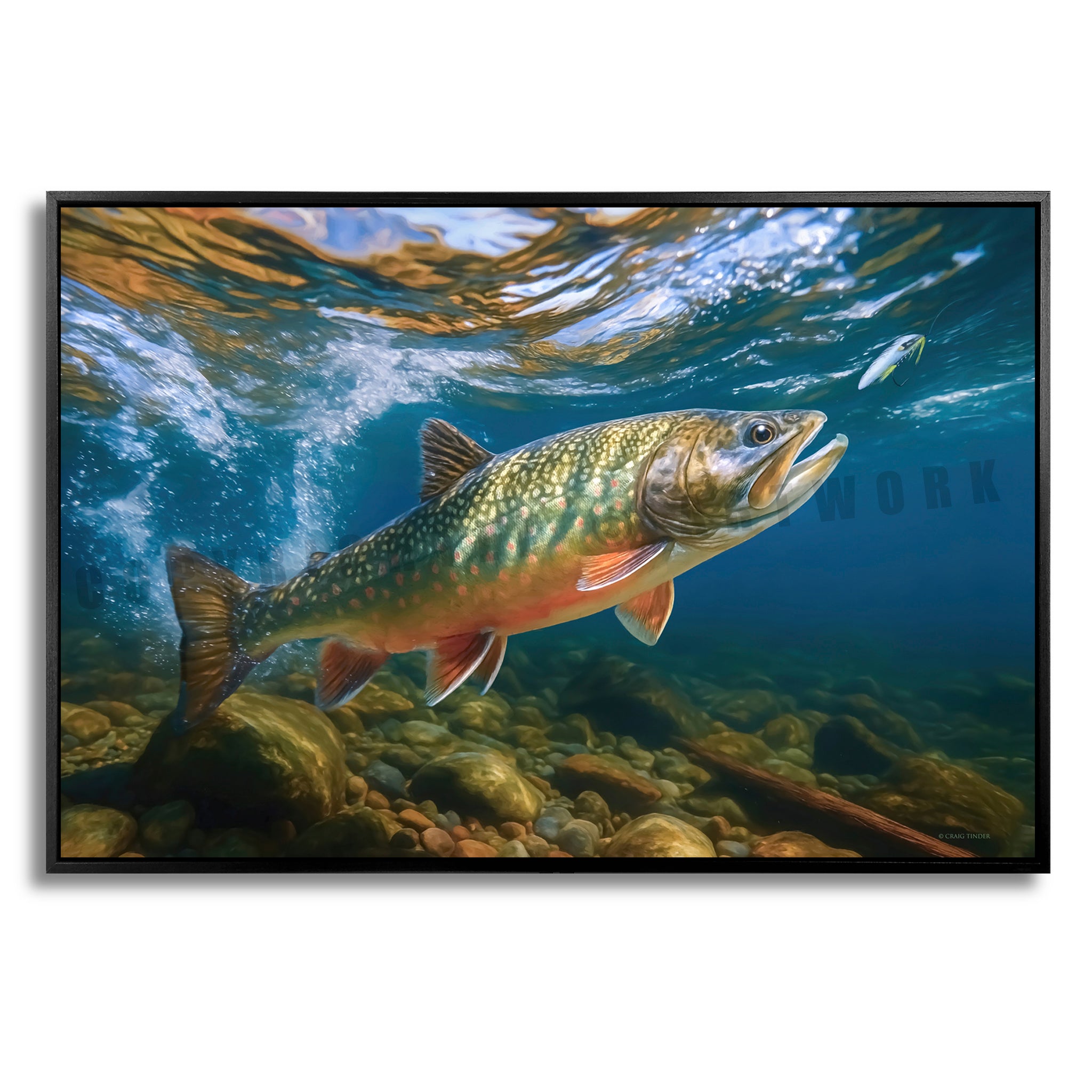 Ember Waters Brook Trout