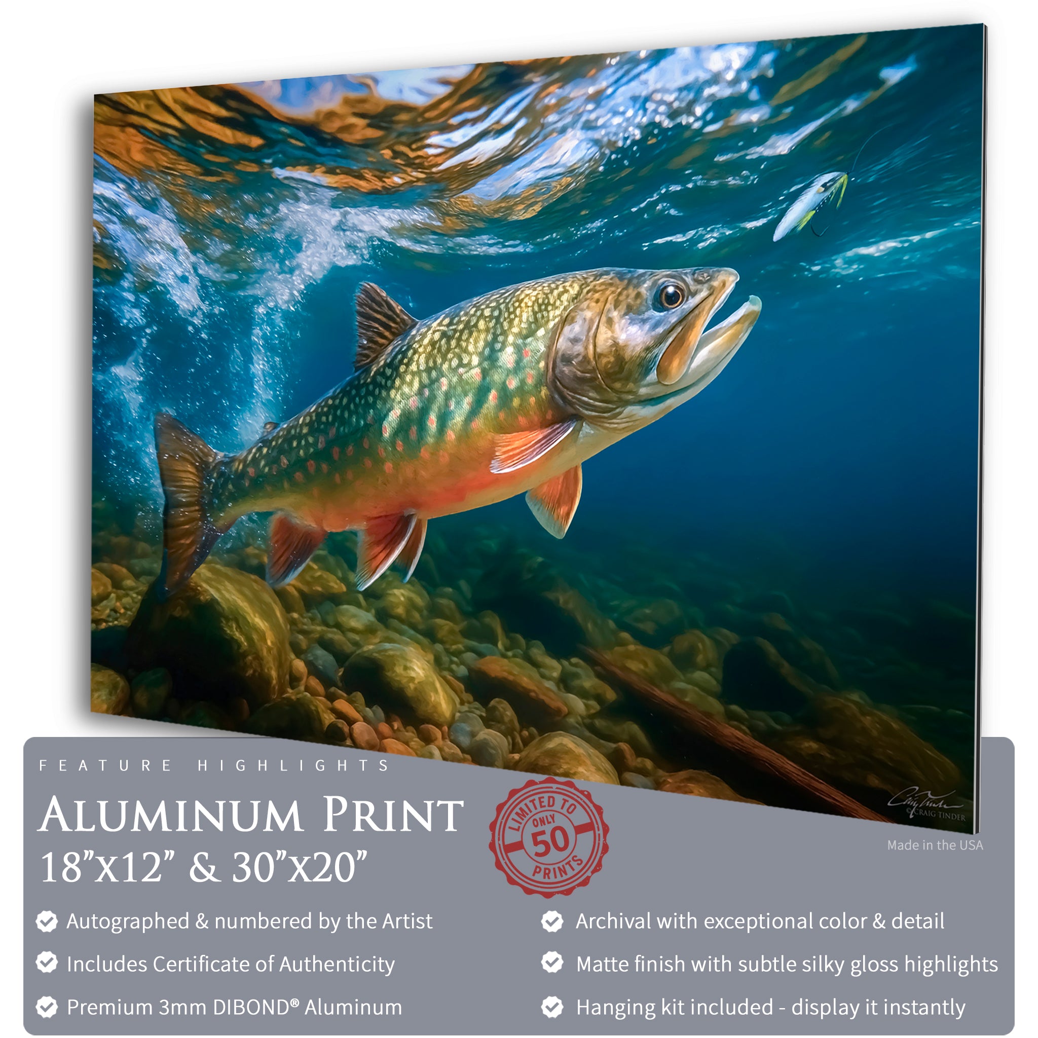 Ember Waters Brook Trout