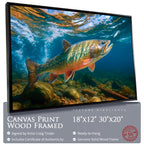 Ember Waters Brook Trout