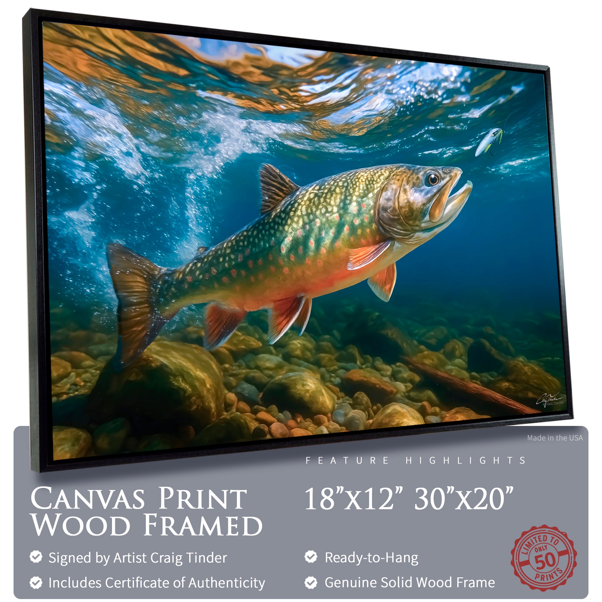 Ember Waters Brook Trout