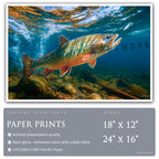 Ember Waters Brook Trout