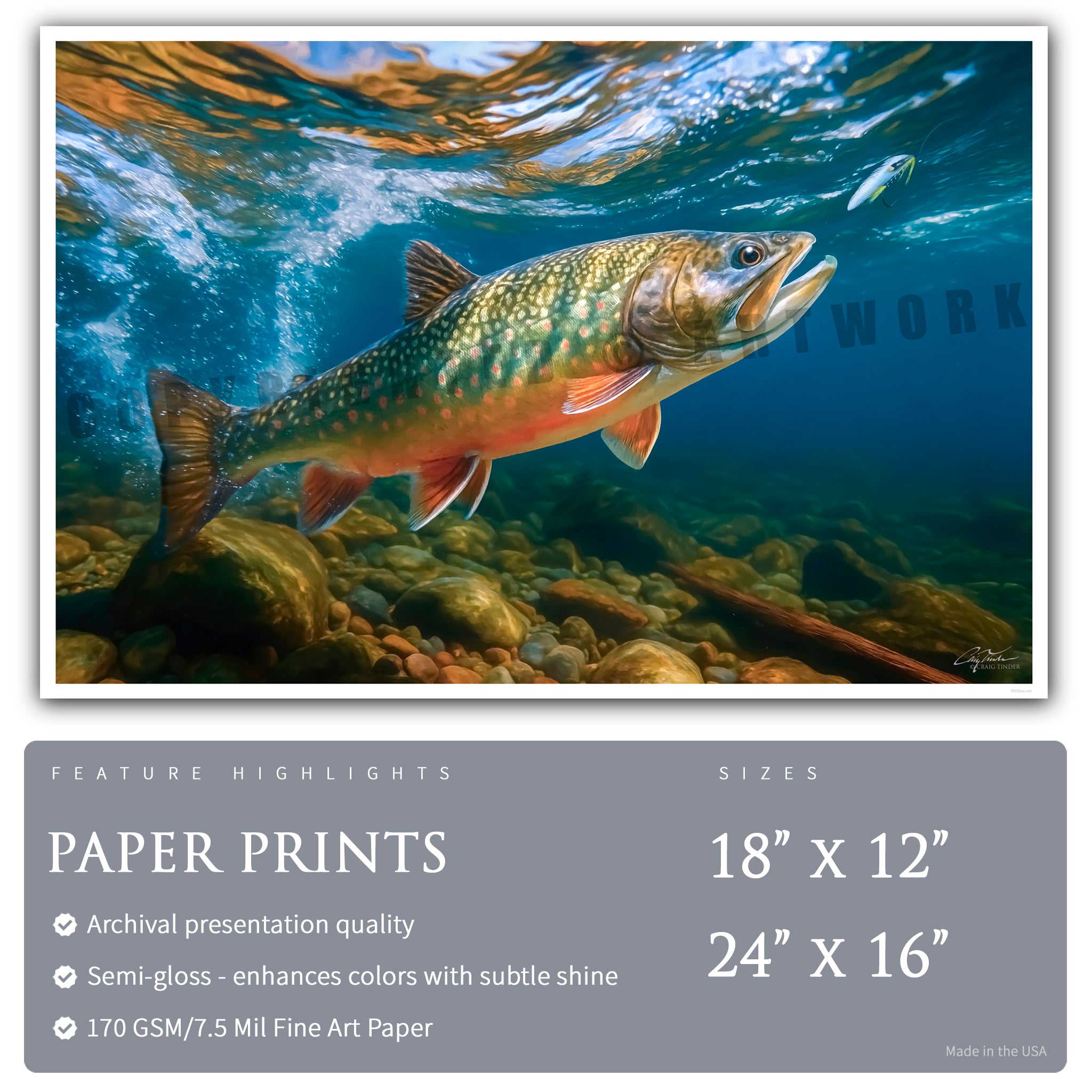 Ember Waters Brook Trout