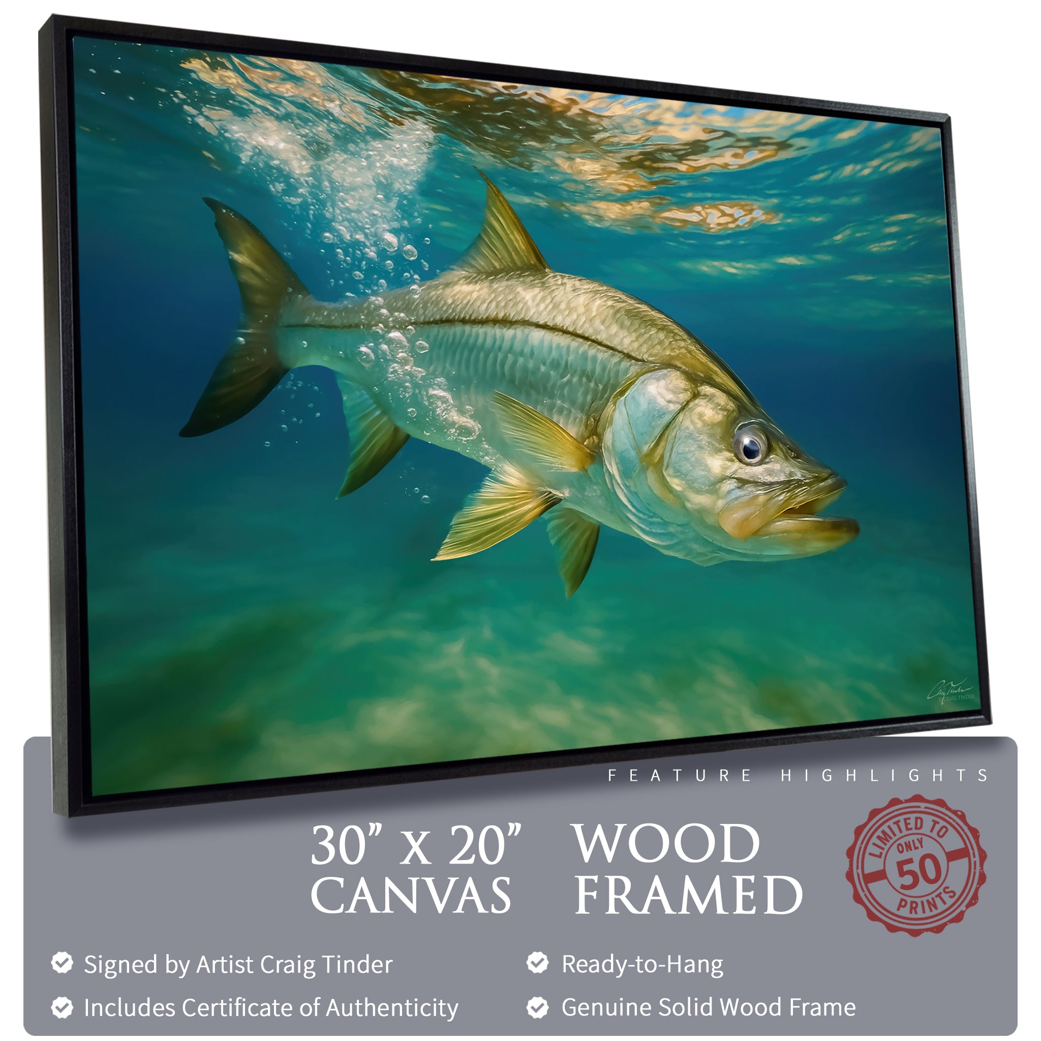 Golden Snook Tides
