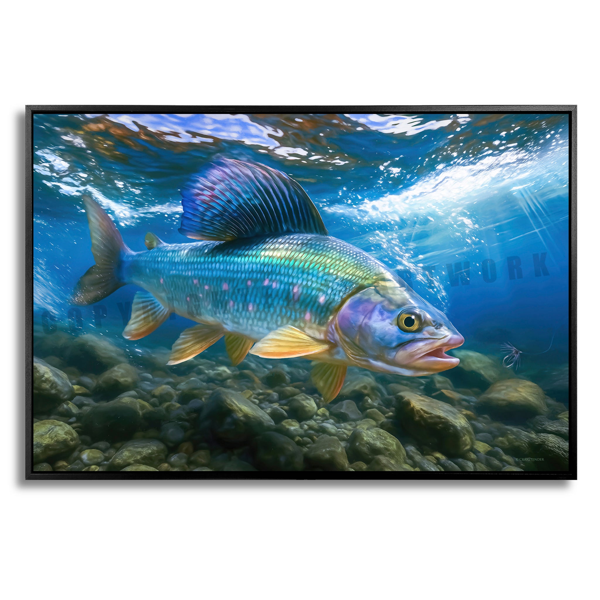 Grayling Silver Currents