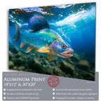 Grayling Silver Currents