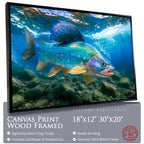 Grayling Silver Currents