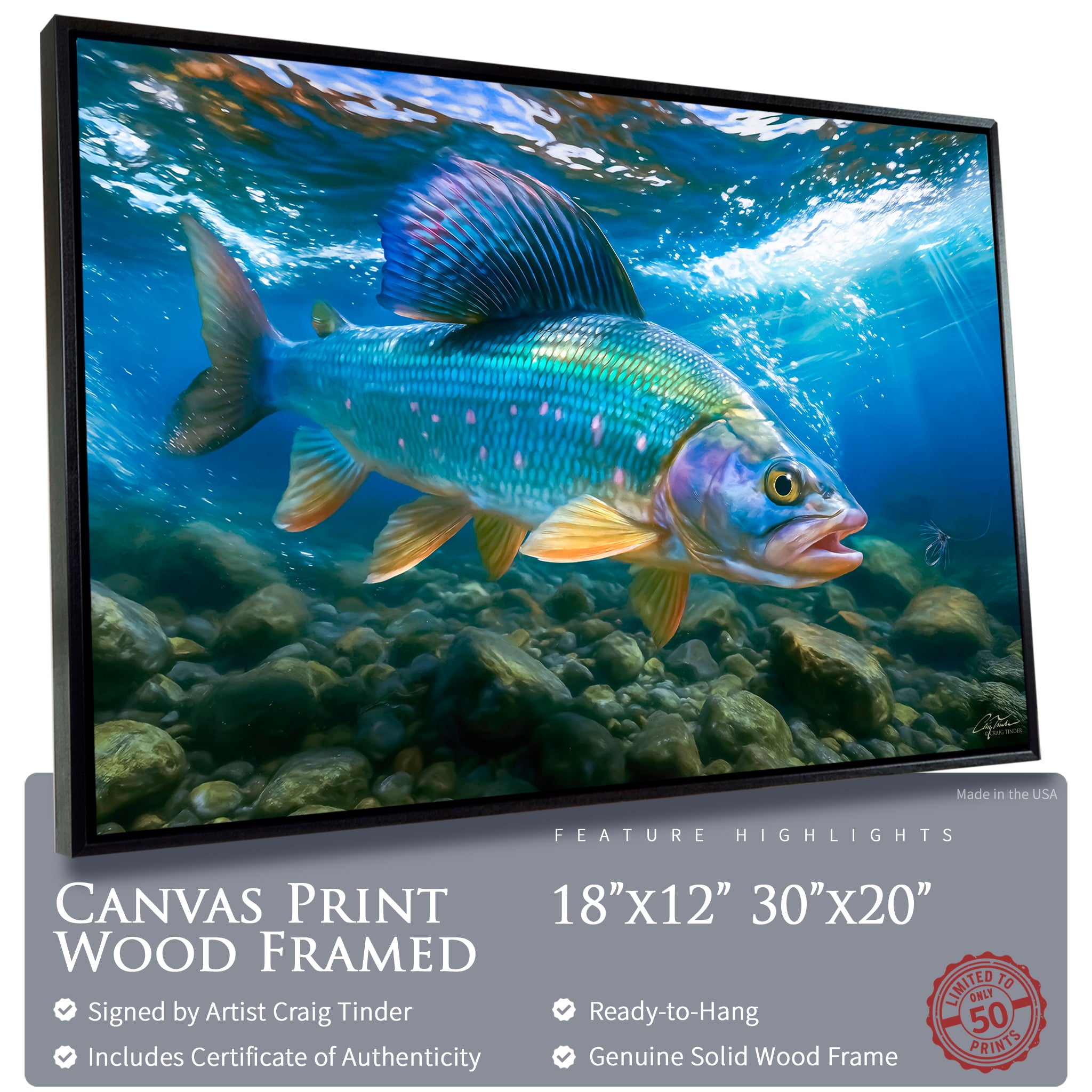 Grayling Silver Currents