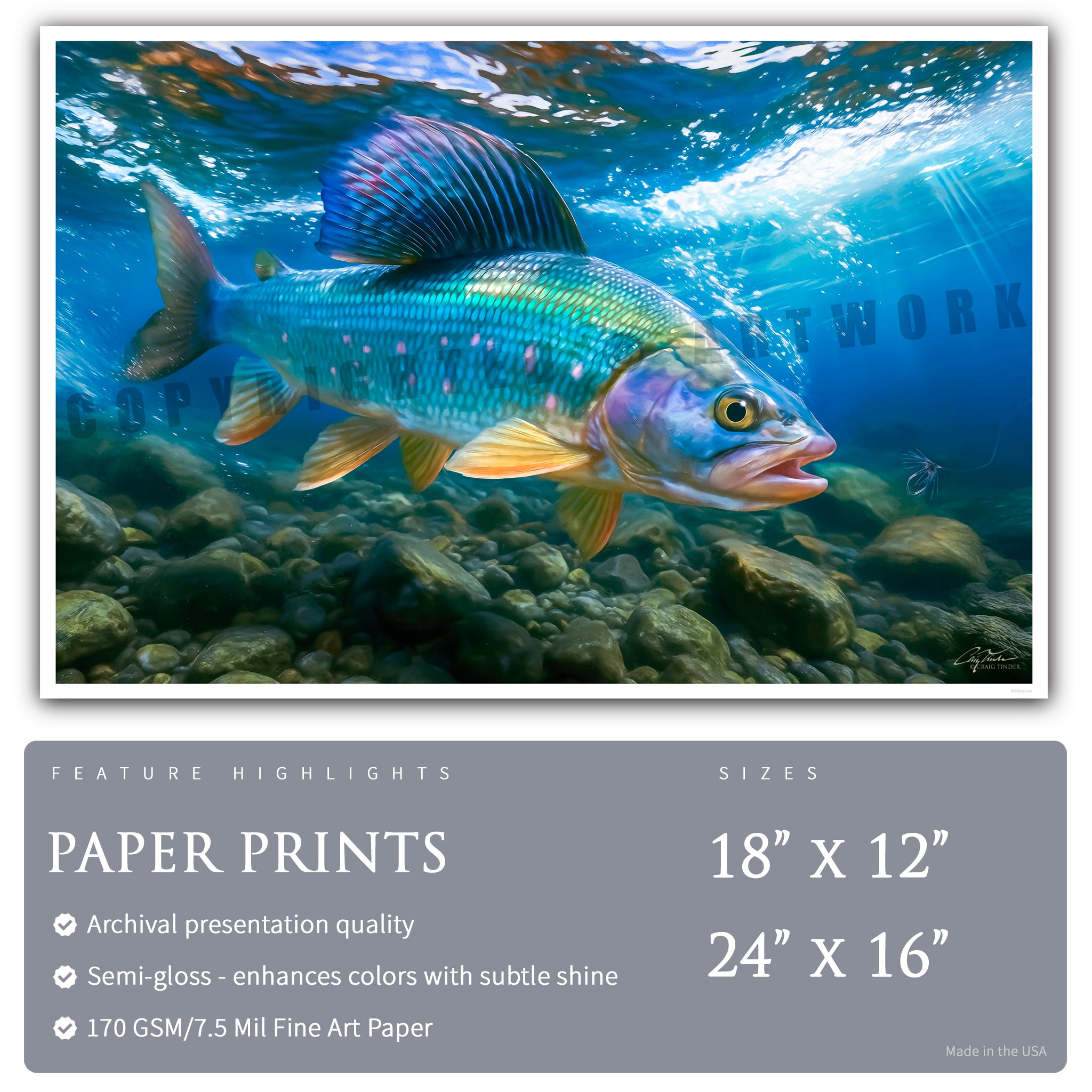 Grayling Silver Currents