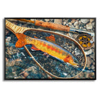 Kern River Golden Trout