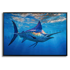 Majestic Marlin