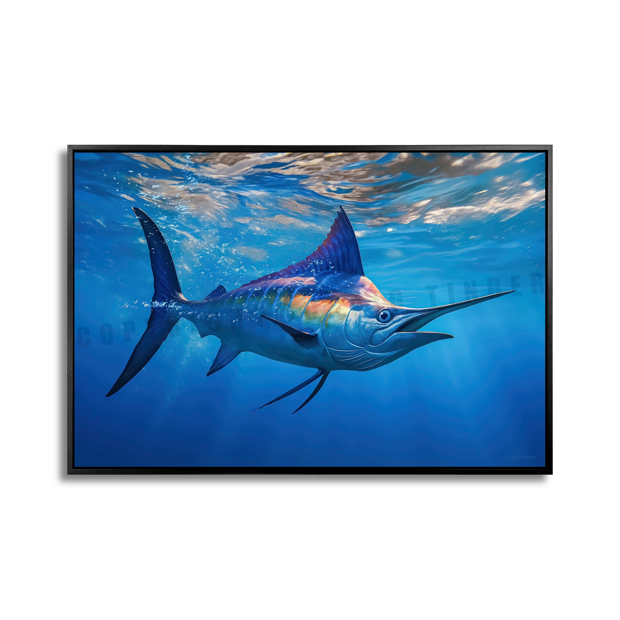 Majestic Marlin