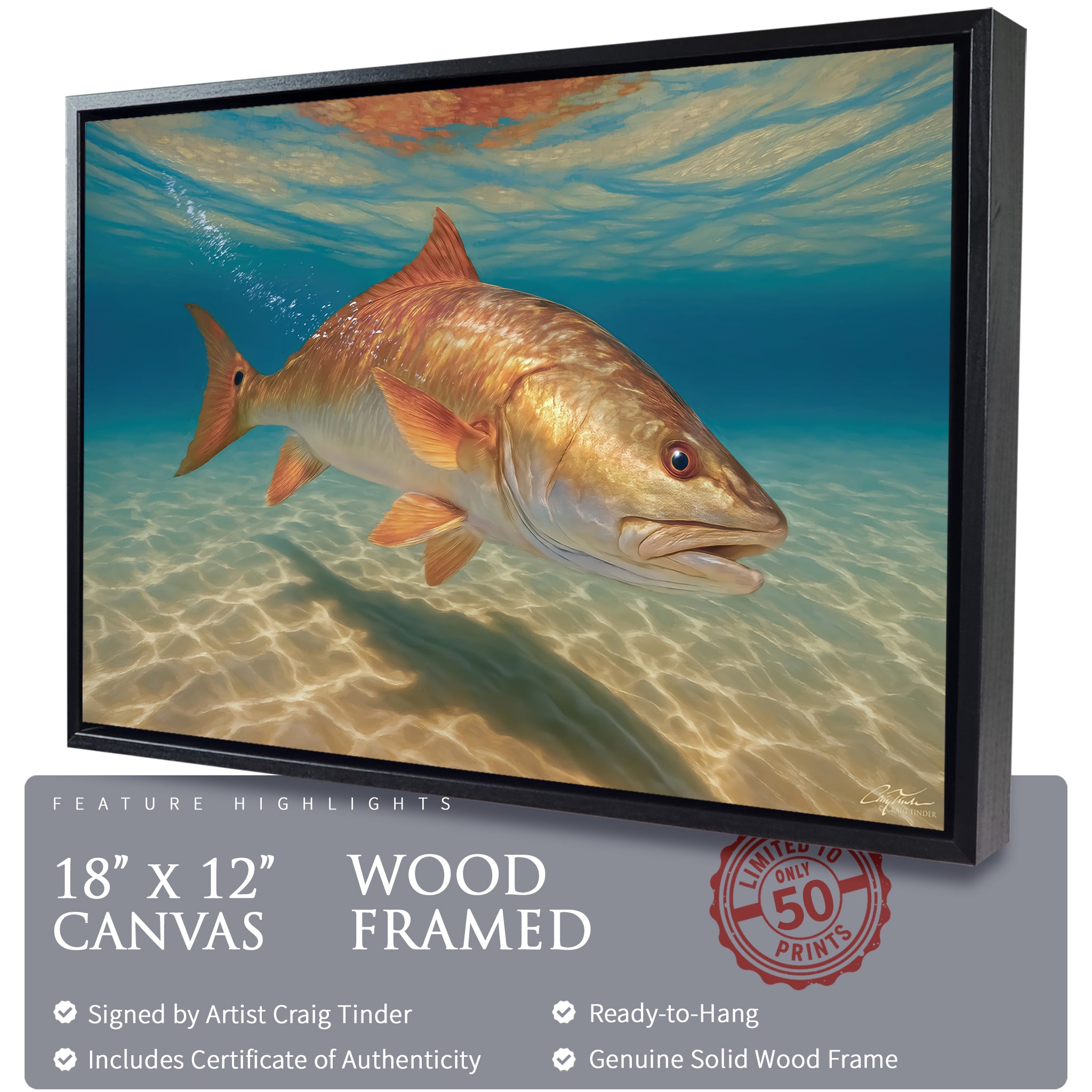 Redfish in the Red
