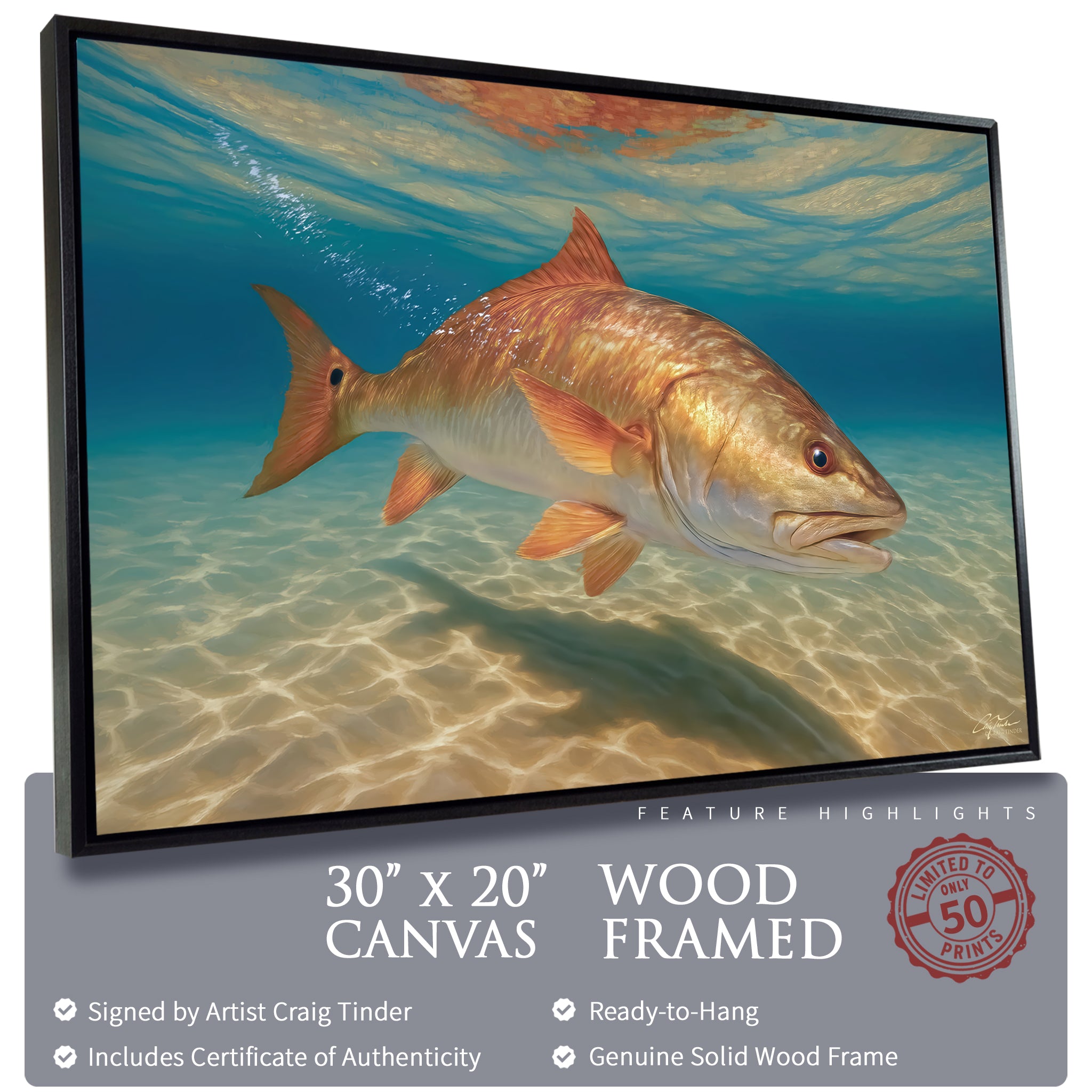 Redfish in the Red