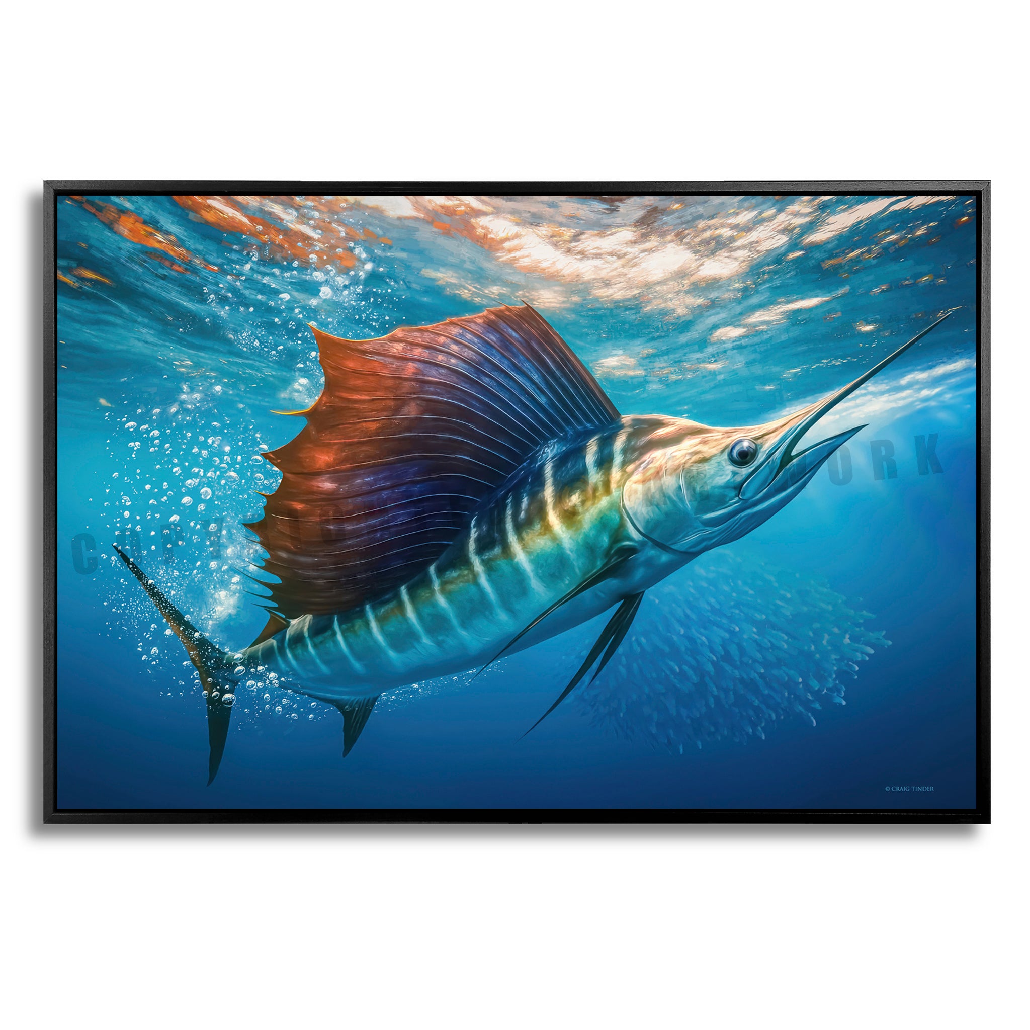 Sailfish Bait Pursuit