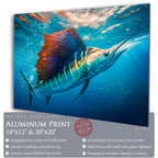 Sailfish Bait Pursuit