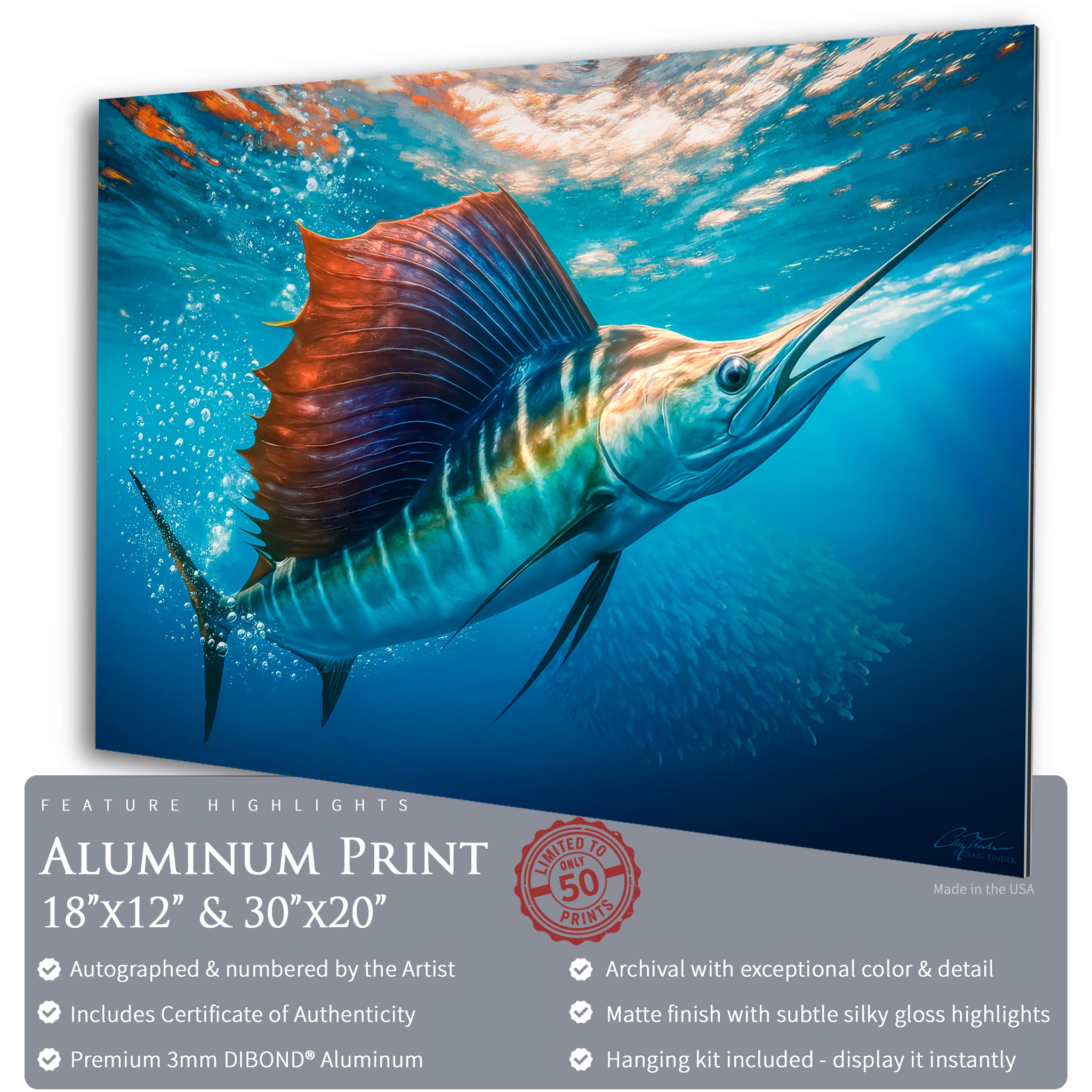 Sailfish Bait Pursuit