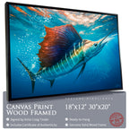 Sailfish Bait Pursuit