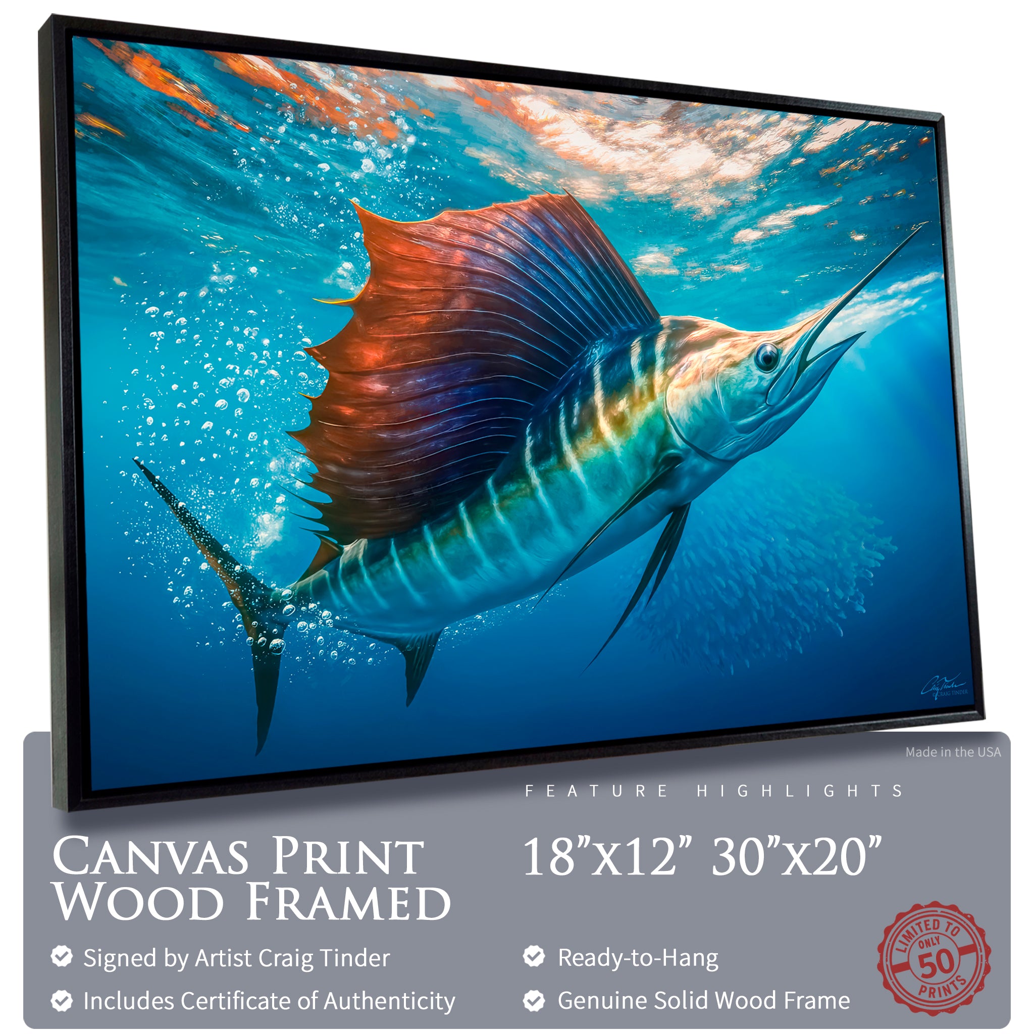 Sailfish Bait Pursuit