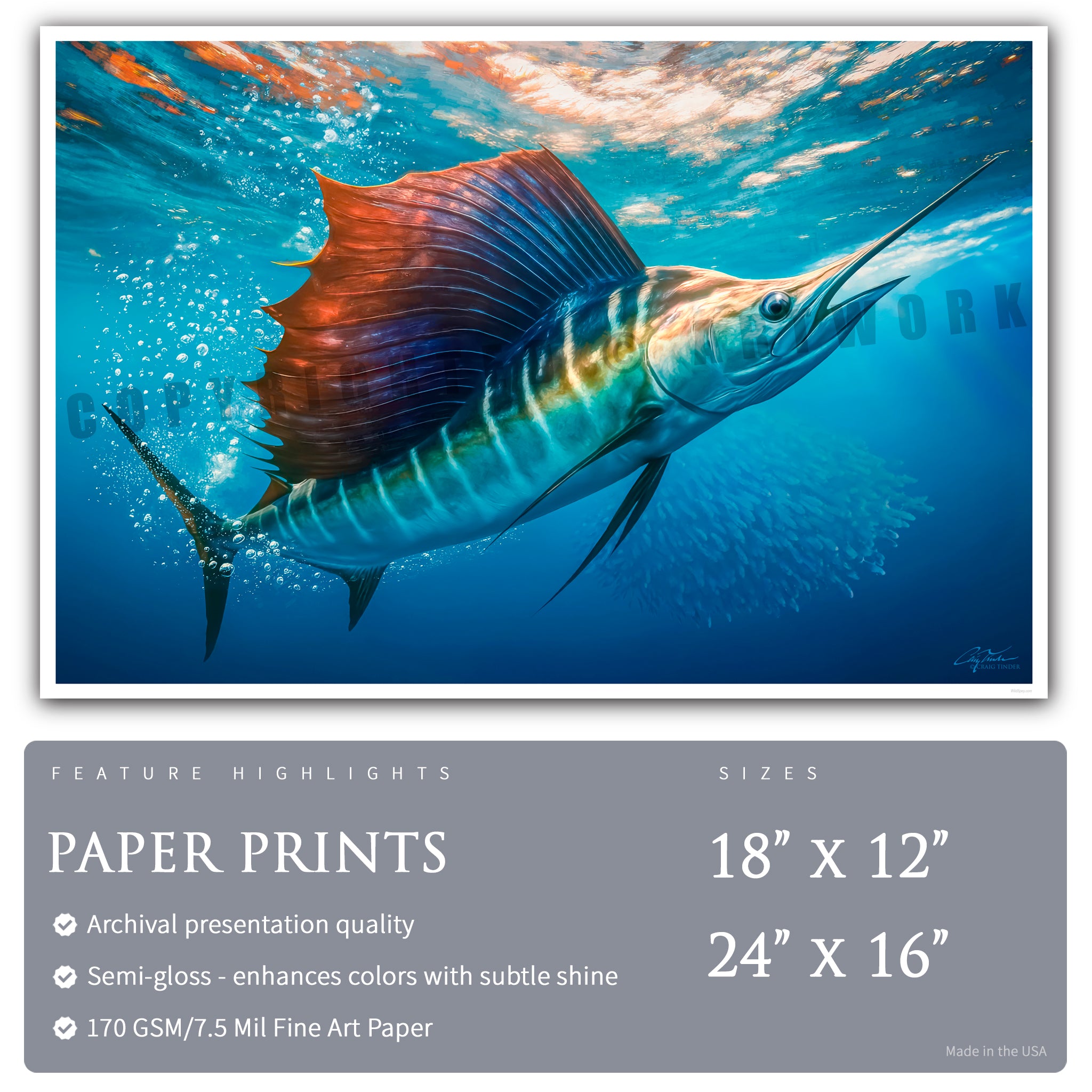 Sailfish Bait Pursuit