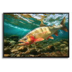 Stonewater Cutthroat