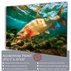 Stonewater Cutthroat