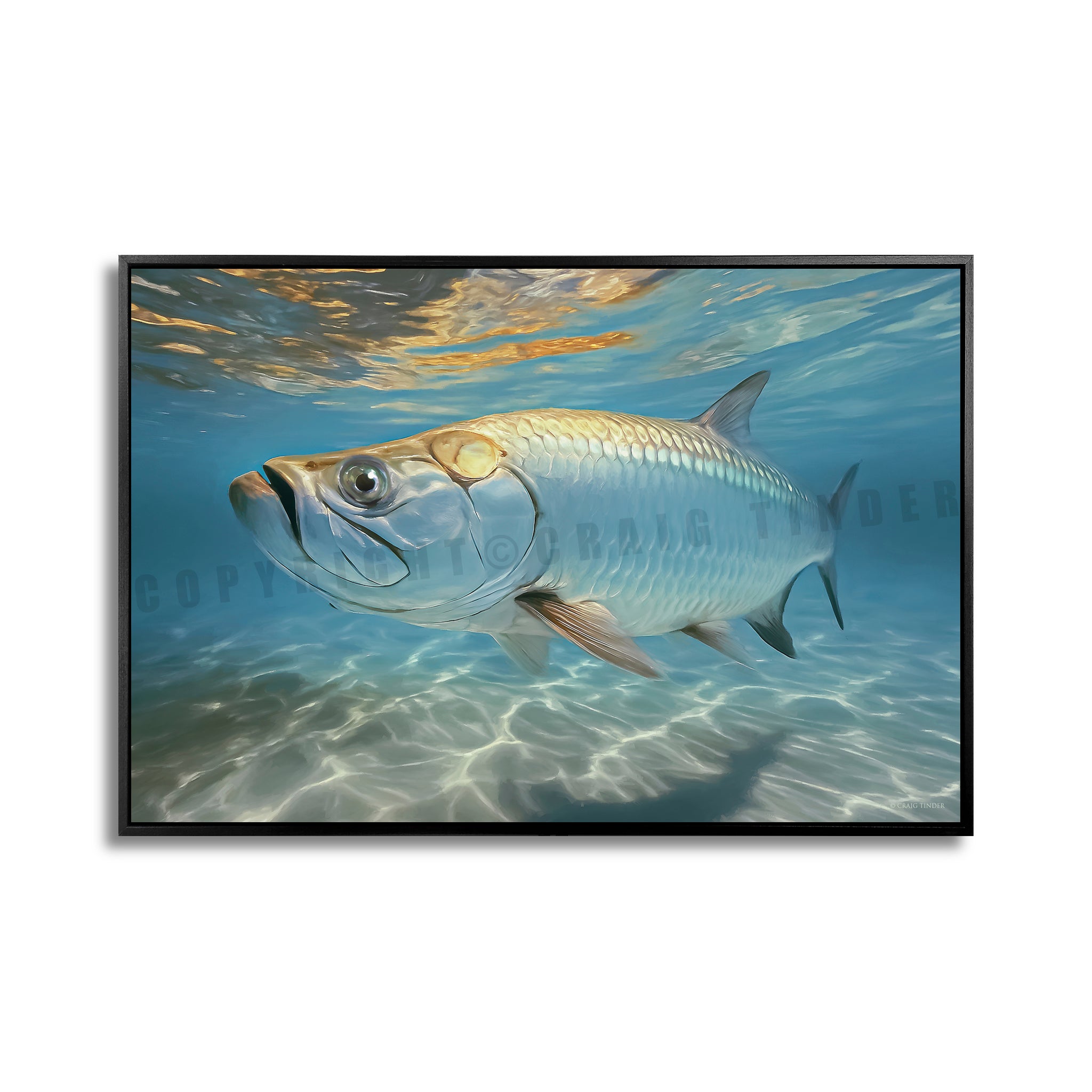 Tarpon Shallows