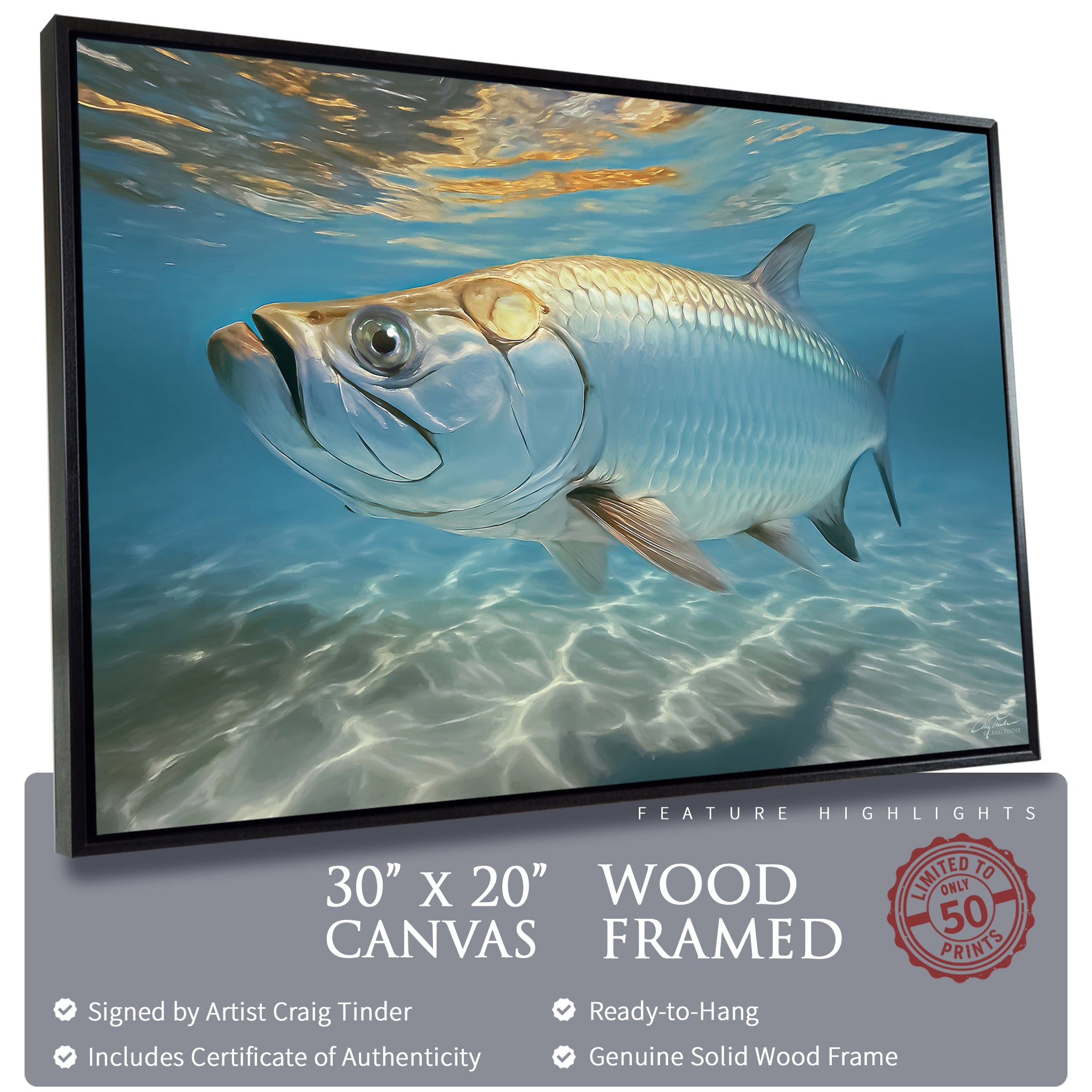 Tarpon Shallows