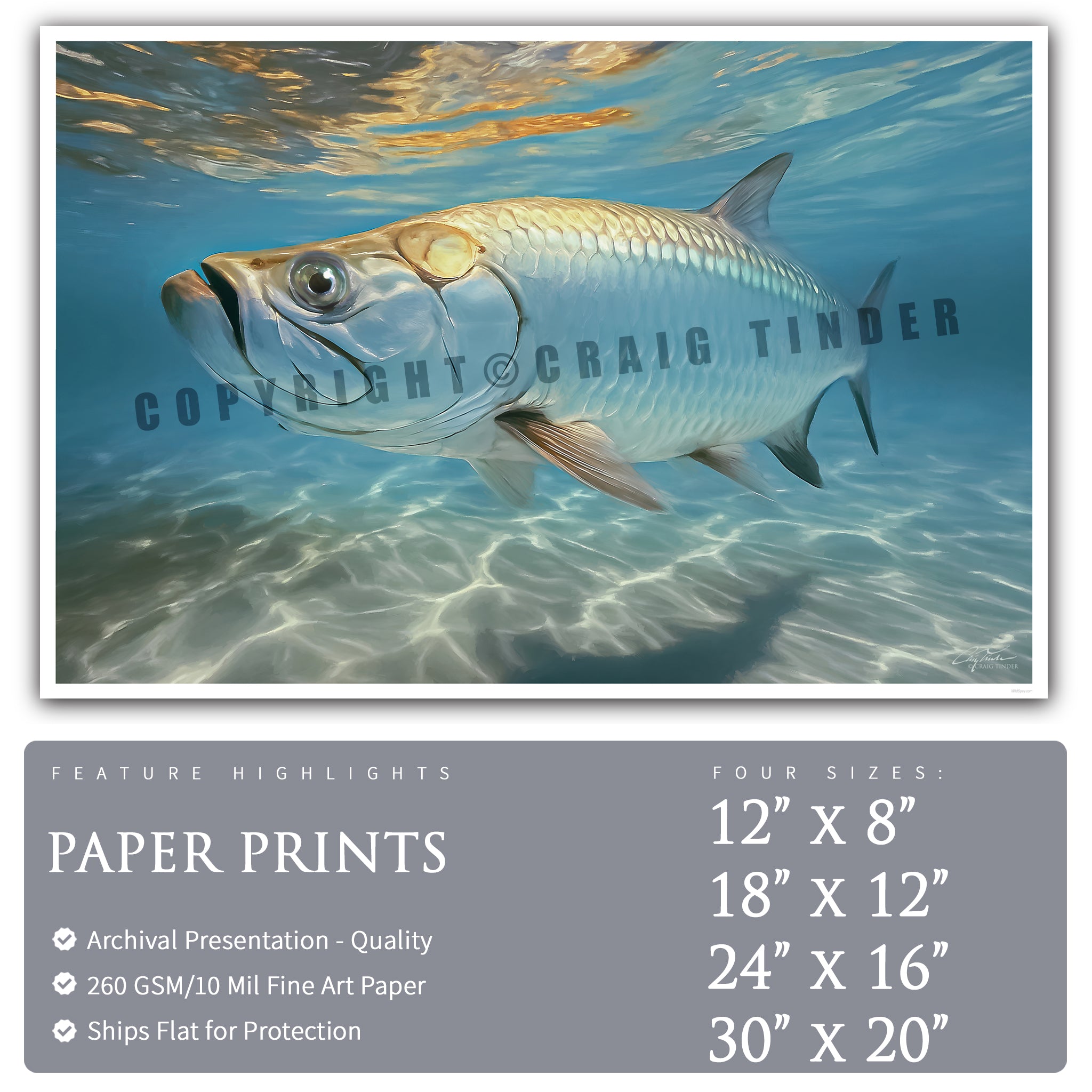 Tarpon Shallows