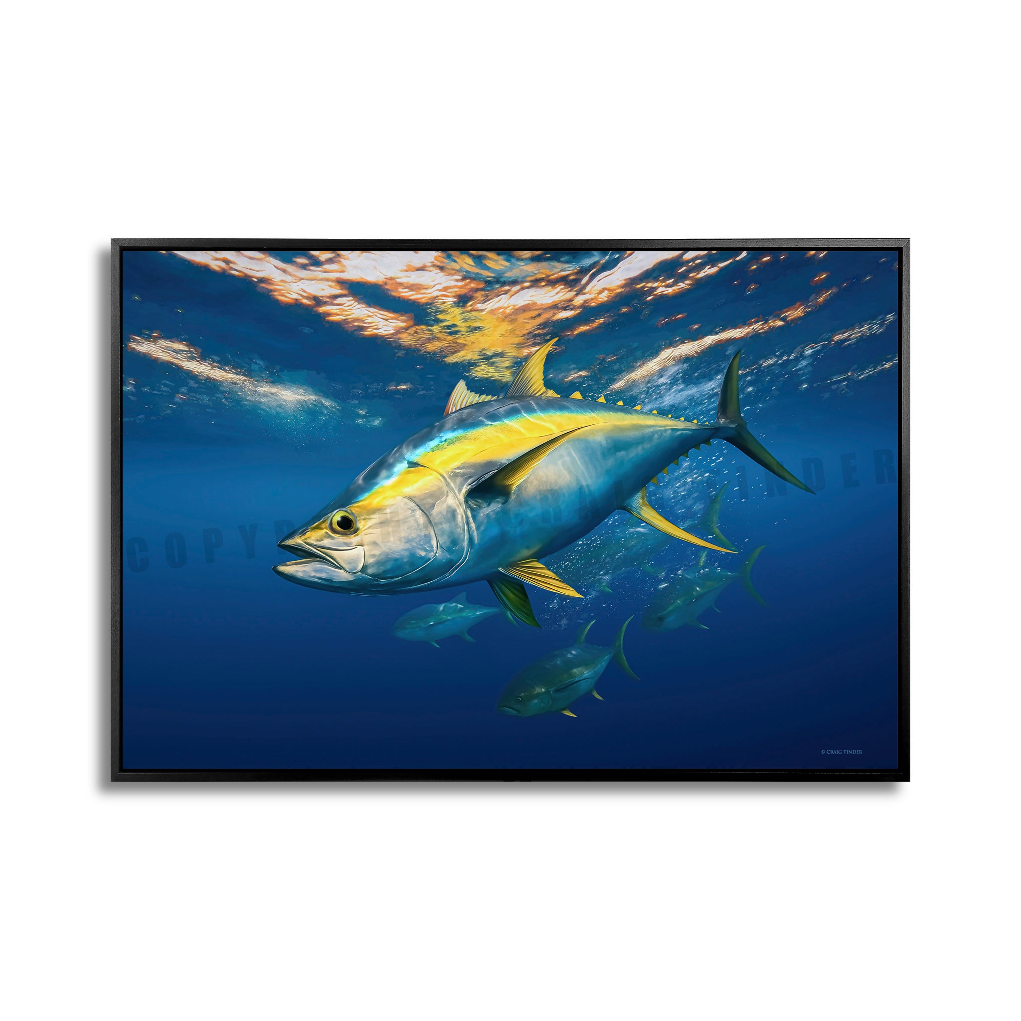 Yellowfin Patrol
