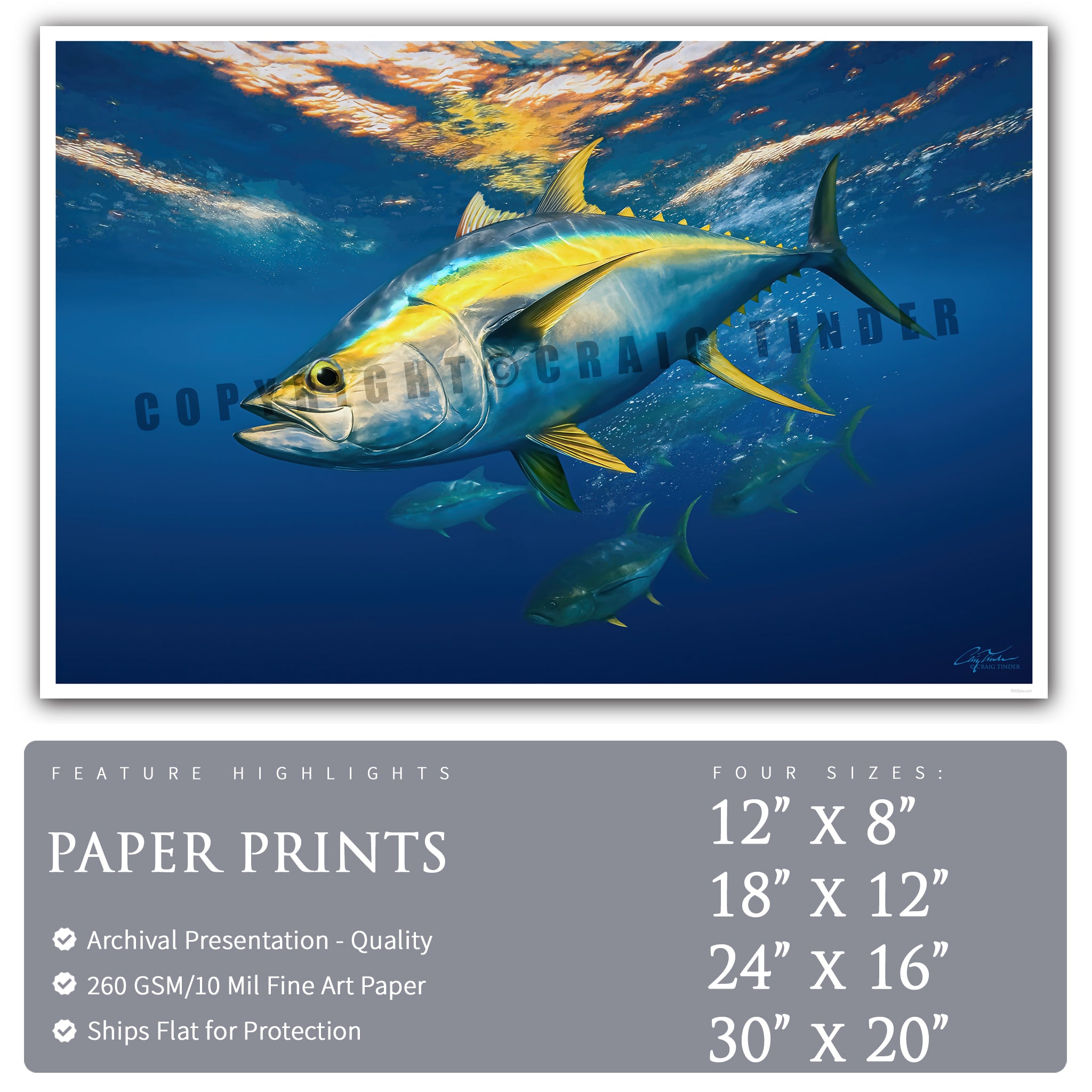 Yellowfin Patrol